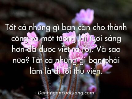 Tất cả những gì bạn cần cho thành công và một tương lai tươi sáng hơn đã được viết ra rồi. Và sao nữa? Tất cả những gì bạn phải làm là đi tới thư viện.