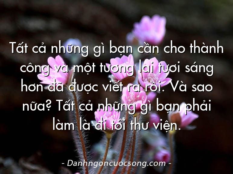 Tất cả những gì bạn cần cho thành công và một tương lai tươi sáng hơn đã được viết ra rồi. Và sao nữa? Tất cả những gì bạn phải làm là đi tới thư viện.