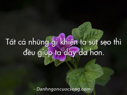 Tất cả những gì khiến ta sứt sẹo thì đều giúp ta dày da hơn.