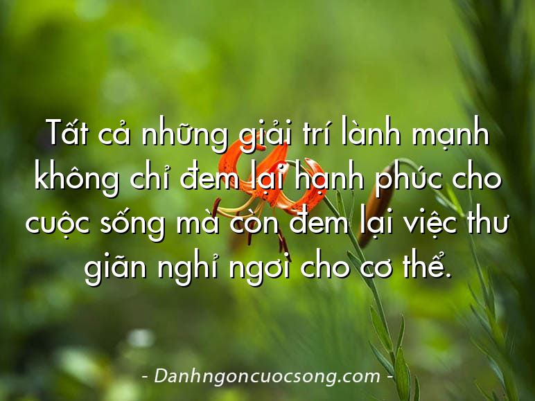 Tất cả những giải trí lành mạnh không chỉ đem lại hạnh phúc cho cuộc sống mà còn đem lại việc thư giãn nghỉ ngơi cho cơ thể.