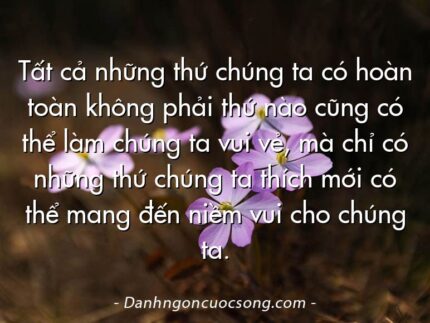 Tất cả những thứ chúng ta có hoàn toàn không phải thứ nào cũng có thể làm chúng ta vui vẻ, mà chỉ có những thứ chúng ta thích mới có thể mang đến niềm vui cho chúng ta.