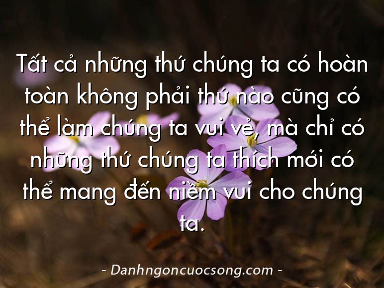 Tất cả những thứ chúng ta có hoàn toàn không phải thứ nào cũng có thể làm chúng ta vui vẻ, mà chỉ có những thứ chúng ta thích mới có thể mang đến niềm vui cho chúng ta.