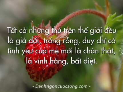 Tất cả những thứ trên thế giới đều là giả dối, trống rỗng, duy chỉ có tình yêu của mẹ mới là chân thật, là vĩnh hằng, bất diệt.