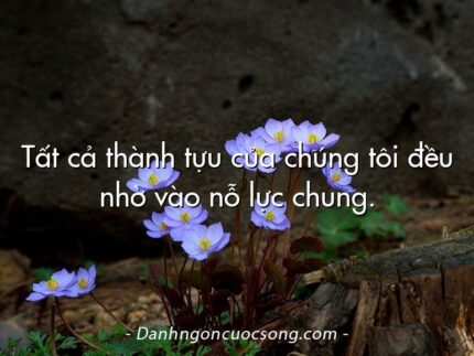Tất cả thành tựu của chúng tôi đều nhờ vào nỗ lực chung.