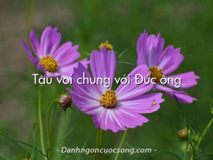 Tậu voi chung với Đức ông