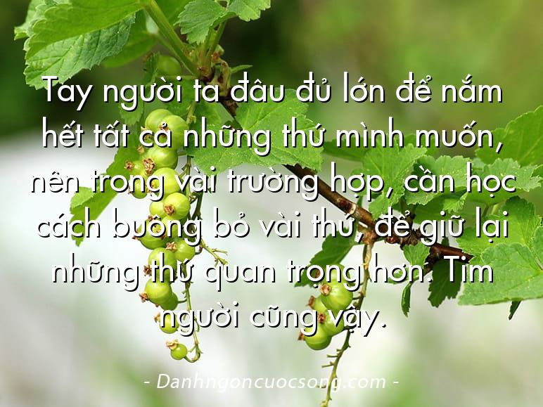 Tay người ta đâu đủ lớn để nắm hết tất cả những thứ mình muốn, nên trong vài trường hợp, cần học cách buông bỏ vài thứ, để giữ lại những thứ quan trọng hơn. Tim người cũng vậy.