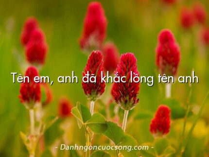 Tên em, anh đã khắc lồng tên anh