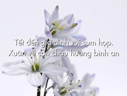 Tết đến gia đình vui sum họp. Xuân về con cháu hưởng bình an