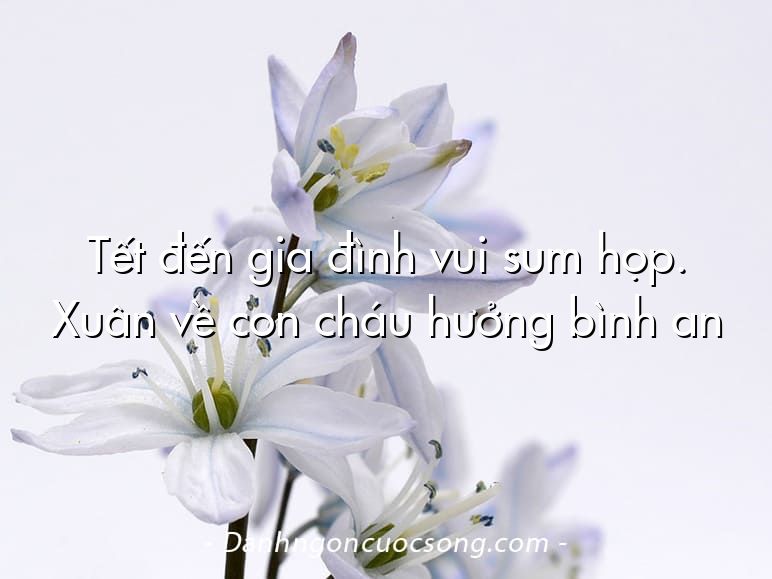 Tết đến gia đình vui sum họp. Xuân về con cháu hưởng bình an