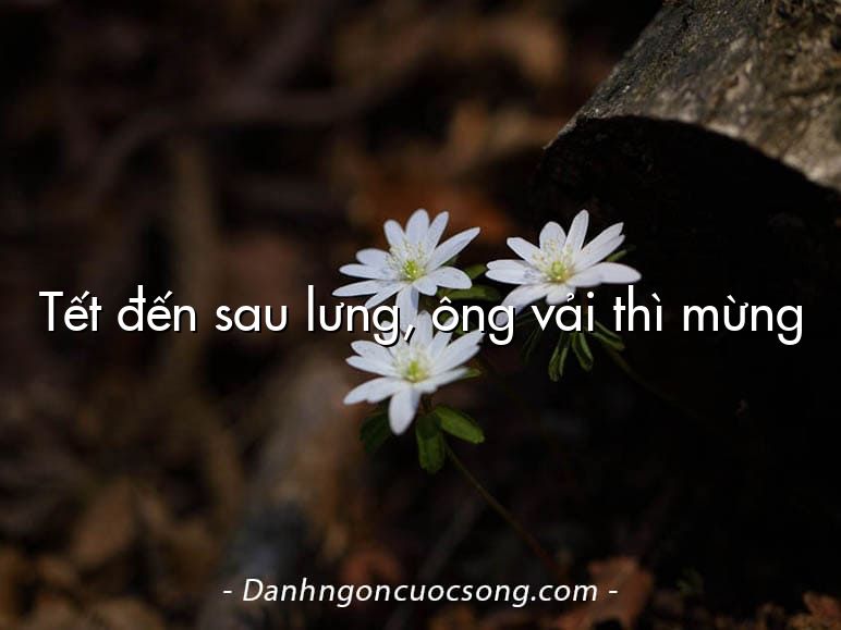 Tết đến sau lưng, ông vải thì mừng