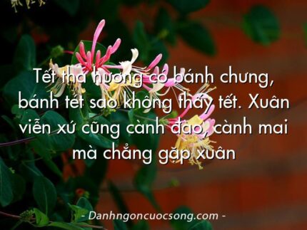 Tết tha hương có bánh chưng, bánh tét sao không thấy tết. Xuân viễn xứ cũng cành đào, cành mai mà chẳng gặp xuân