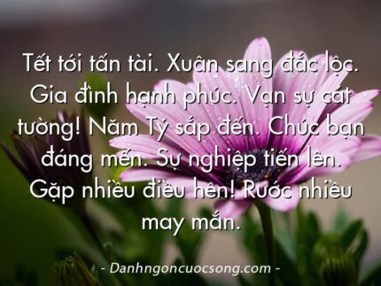 Tết tới tấn tài. Xuân sang đắc lộc. Gia đình hạnh phúc. Vạn sự cát tường! Năm Tý sắp đến. Chúc bạn đáng mến. Sự nghiệp tiến lên. Gặp nhiều điều hên! Rước nhiều may mắn.