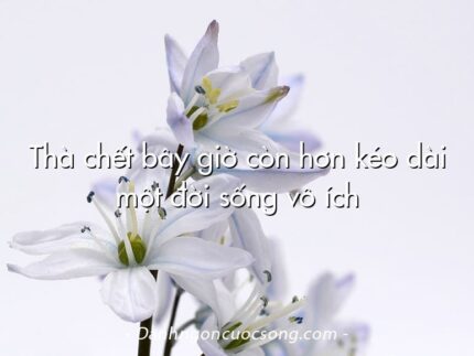 Thà chết bây giờ còn hơn kéo dài một đời sống vô ích