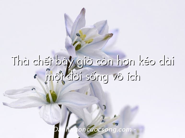 Thà chết bây giờ còn hơn kéo dài một đời sống vô ích