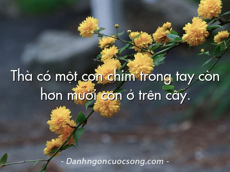 Thà có một con chim trong tay còn hơn mười con ở trên cây.