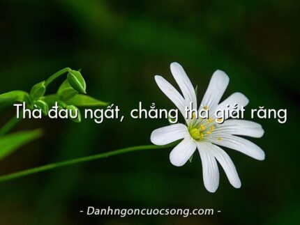 Thà đau ngất, chẳng thà giắt răng