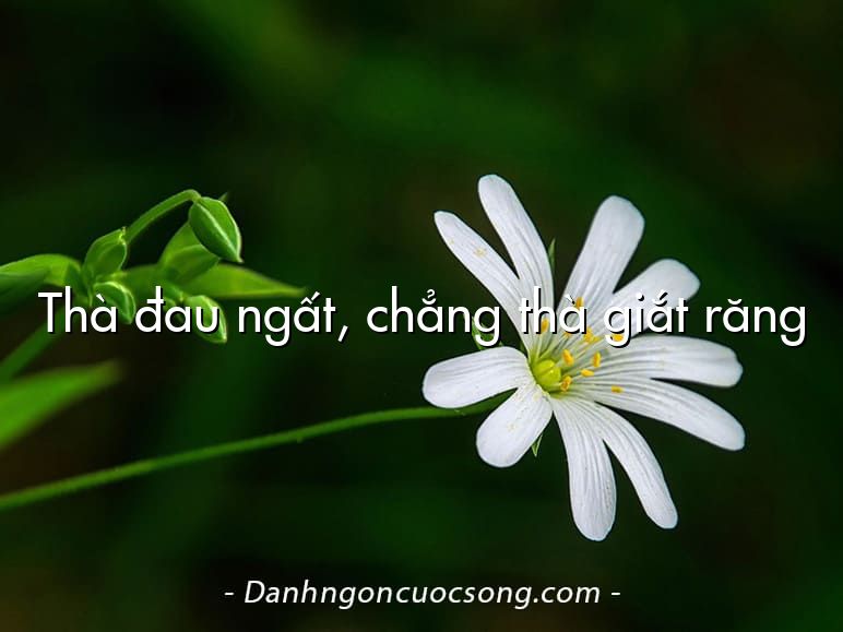 Thà đau ngất, chẳng thà giắt răng