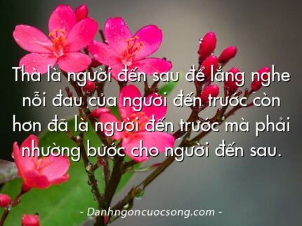 Thà là người đến sau để lắng nghe nỗi đau của người đến trước còn hơn đã là người đến trước mà phải nhường bước cho người đến sau.