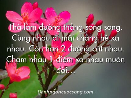 Thà làm đường thẳng song song. Cùng nhau đi mãi chẳng hề xa nhau. Còn hơn 2 đường căt nhau. Chạm nhau 1 điểm xa nhau muôn đời…