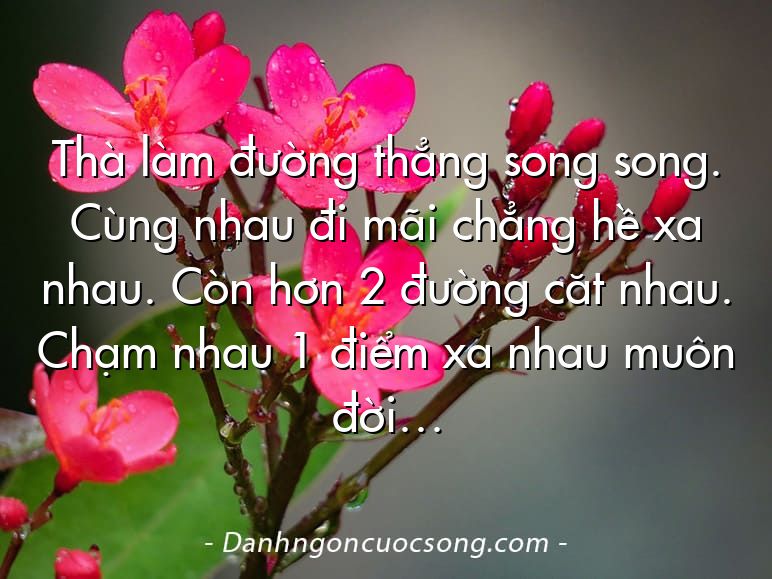 Thà làm đường thẳng song song. Cùng nhau đi mãi chẳng hề xa nhau. Còn hơn 2 đường căt nhau. Chạm nhau 1 điểm xa nhau muôn đời…