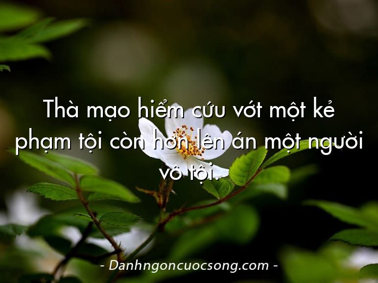 Thà mạo hiểm cứu vớt một kẻ phạm tội còn hơn lên án một người vô tội.