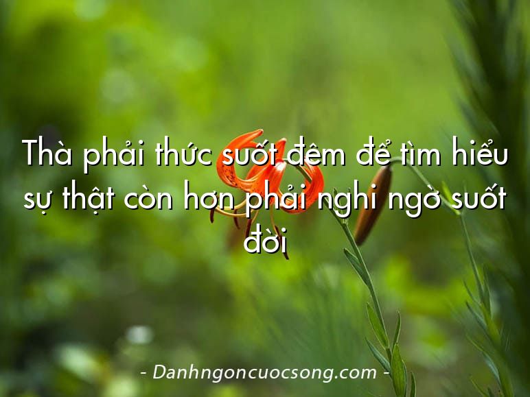 Thà phải thức suốt đêm để tìm hiểu sự thật còn hơn phải nghi ngờ suốt đời