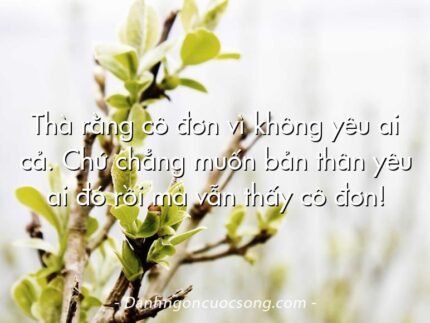 Thà rằng cô đơn vì không yêu ai cả. Chứ chẳng muốn bản thân yêu ai đó rồi mà vẫn thấy cô đơn!