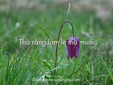 Thà rằng làm lẽ thứ mười
