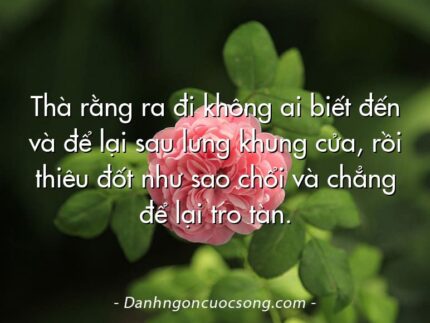 Thà rằng ra đi không ai biết đến và để lại sau lưng khung cửa, rồi thiêu đốt như sao chổi và chẳng để lại tro tàn.