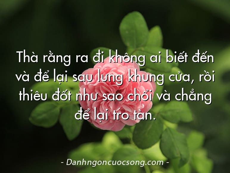 Thà rằng ra đi không ai biết đến và để lại sau lưng khung cửa, rồi thiêu đốt như sao chổi và chẳng để lại tro tàn.