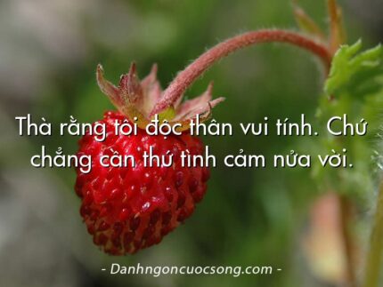 Thà rằng tôi độc thân vui tính. Chứ chẳng cần thứ tình cảm nửa vời.