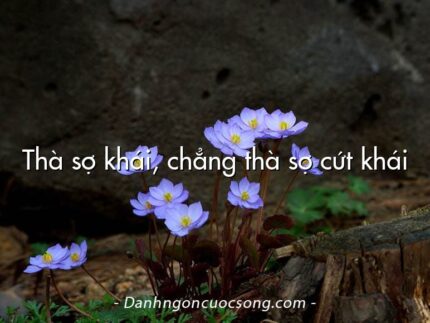 Thà sợ khái, chẳng thà sợ cứt khái