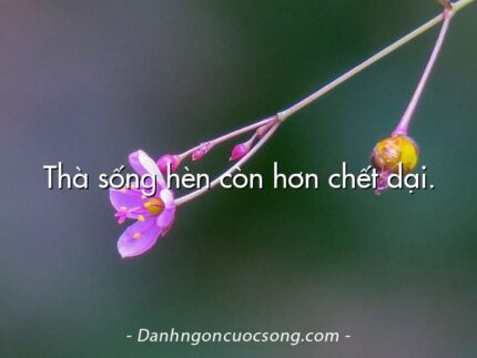 Thà sống hèn còn hơn chết dại.