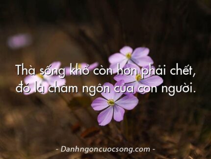 Thà sống khổ còn hơn phải chết, đó là châm ngôn của con người.