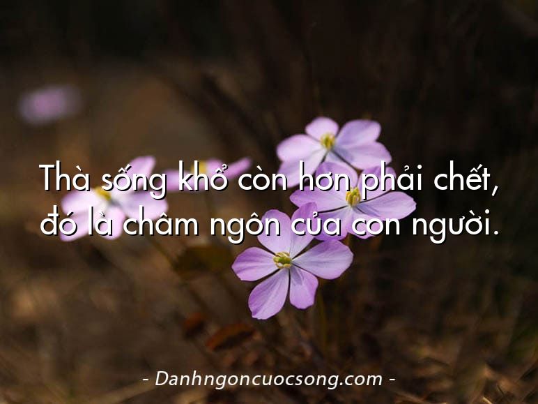 Thà sống khổ còn hơn phải chết, đó là châm ngôn của con người.