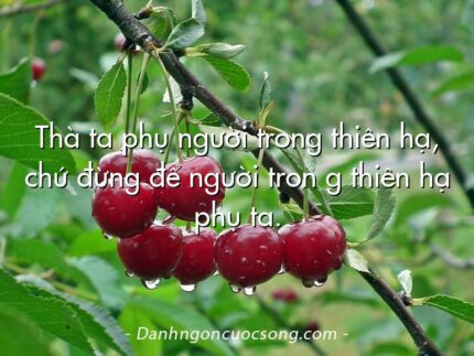 Thà ta phụ người trong thiên hạ, chứ đừng để người tron g thiên hạ phụ ta.