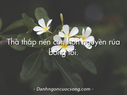 Thà thắp nến còn hơn nguyền rủa bóng tối.