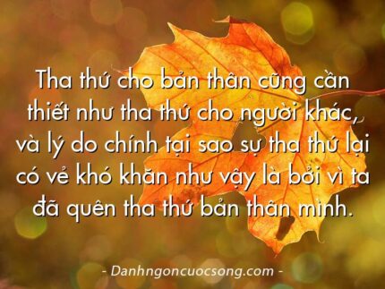 Tha thứ cho bản thân cũng cần thiết như tha thứ cho người khác, và lý do chính tại sao sự tha thứ lại có vẻ khó khăn như vậy là bởi vì ta đã quên tha thứ bản thân mình.