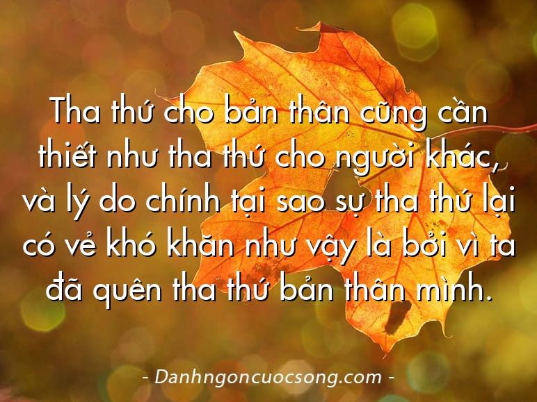 Tha thứ cho bản thân cũng cần thiết như tha thứ cho người khác, và lý do chính tại sao sự tha thứ lại có vẻ khó khăn như vậy là bởi vì ta đã quên tha thứ bản thân mình.
