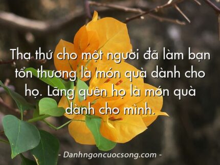 Tha thứ cho một người đã làm bạn tổn thương là món quà dành cho họ. Lãng quên họ là món quà dành cho mình.