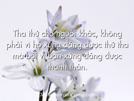Tha thứ cho người khác, không phải vì họ xứng đáng được thứ tha mà bởi vì bạn xứng đáng được thanh thản.