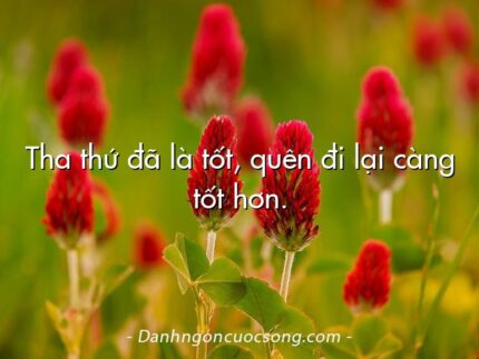 Tha thứ đã là tốt, quên đi lại càng tốt hơn.