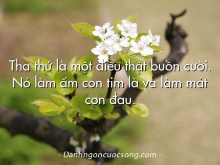 Tha thứ là một điều thật buồn cười. Nó làm ấm con tim là và làm mát cơn đau.