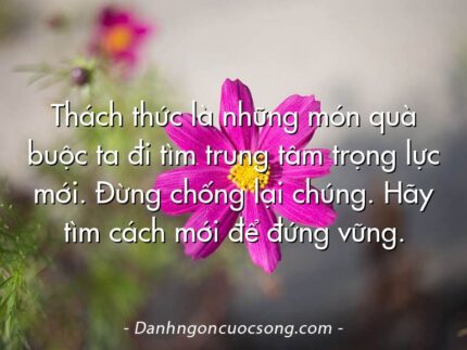 Thách thức là những món quà buộc ta đi tìm trung tâm trọng lực mới. Đừng chống lại chúng. Hãy tìm cách mới để đứng vững.