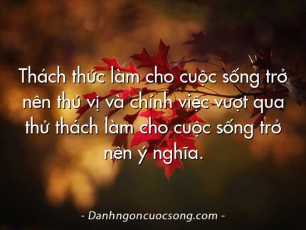 Thách thức làm cho cuộc sống trở nên thú vị và chính việc vượt qua thử thách làm cho cuộc sống trở nên ý nghĩa.