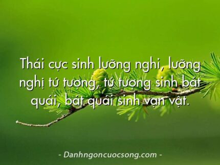 Thái cực sinh lưỡng nghi, lưỡng nghị tứ tượng, tứ tượng sinh bát quái, bát quái sinh vạn vật.