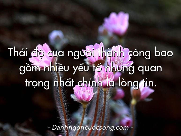 Thái độ của người thành công bao gồm nhiều yếu tố nhưng quan trọng nhất chính là lòng tin.