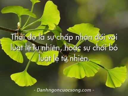 Thái độ là sự chấp nhận đối với luật lệ tự nhiên, hoặc sự chối bỏ luật lệ tự nhiên.