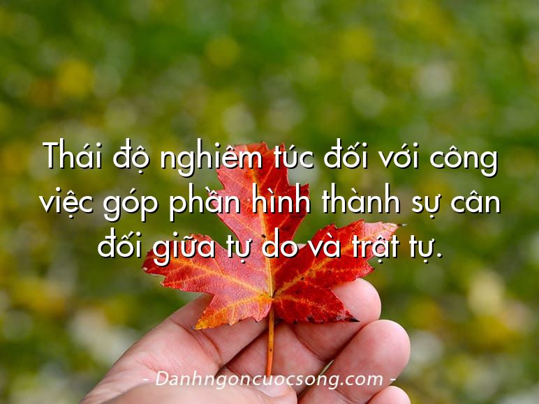 Thái độ nghiêm túc đối với công việc góp phần hình thành sự cân đối giữa tự do và trật tự.