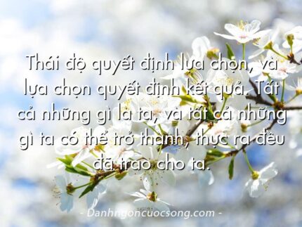 Thái độ quyết định lựa chọn, và lựa chọn quyết định kết quả. Tất cả những gì là ta, và tất cả những gì ta có thể trở thành, thực ra đều đã trao cho ta.